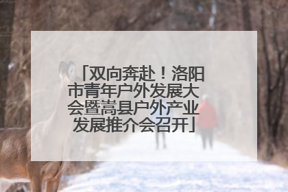 双向奔赴！洛阳市青年户外发展大会暨嵩县户外产业发展推介会召开