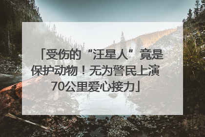 受伤的“汪星人”竟是保护动物！无为警民上演70公里爱心接力