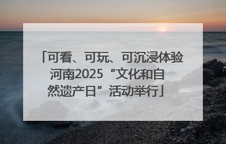 可看、可玩、可沉浸体验 河南2025“文化和自然遗产日”活动举行
