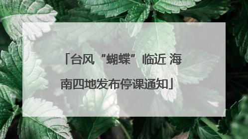 台风“蝴蝶”临近 海南四地发布停课通知