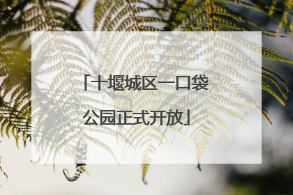 十堰城区一口袋公园正式开放
