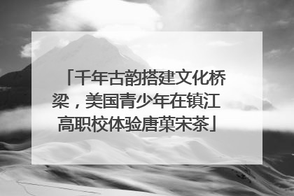 千年古韵搭建文化桥梁，美国青少年在镇江高职校体验唐菓宋茶