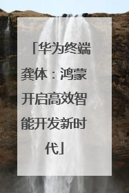 华为终端龚体：鸿蒙开启高效智能开发新时代