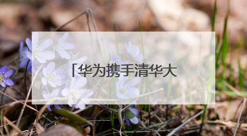 华为携手清华大学（电力国重）与岳能科技，共同探索智慧新能源集控新未来