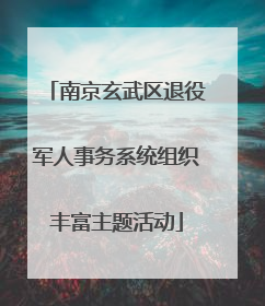 南京玄武区退役军人事务系统组织丰富主题活动
