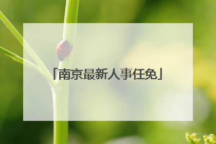 南京最新人事任免