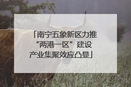 南宁五象新区力推“两港一区”建设 产业集聚效应凸显