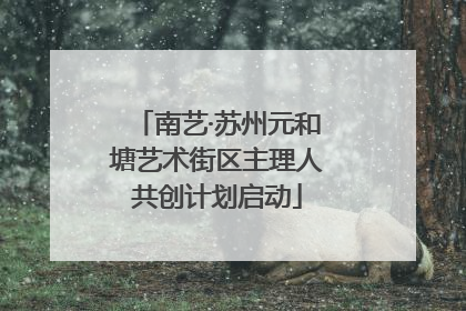 南艺·苏州元和塘艺术街区主理人共创计划启动