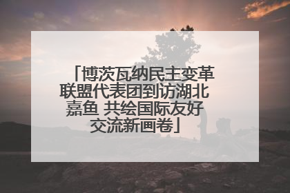 博茨瓦纳民主变革联盟代表团到访湖北嘉鱼 共绘国际友好交流新画卷
