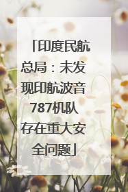 印度民航总局：未发现印航波音787机队存在重大安全问题