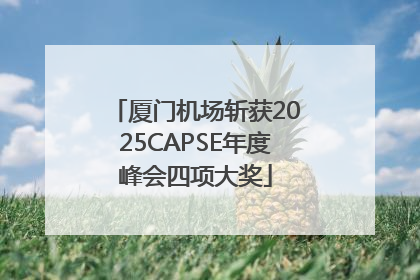 厦门机场斩获2025CAPSE年度峰会四项大奖