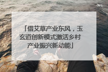 借艾草产业东风，玉玄道创新模式激活乡村产业振兴新动能