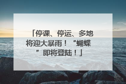 停课、停运、多地将迎大暴雨！“蝴蝶”即将登陆！