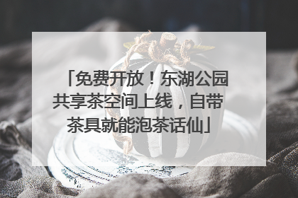 免费开放！东湖公园共享茶空间上线，自带茶具就能泡茶话仙