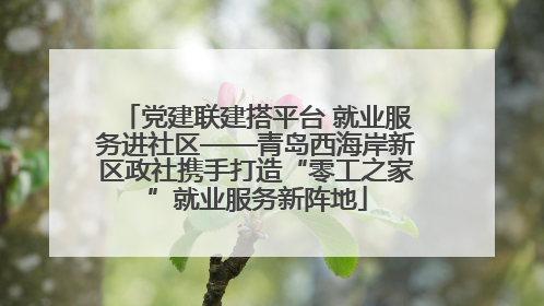 党建联建搭平台 就业服务进社区——青岛西海岸新区政社携手打造“零工之家”就业服务新阵地