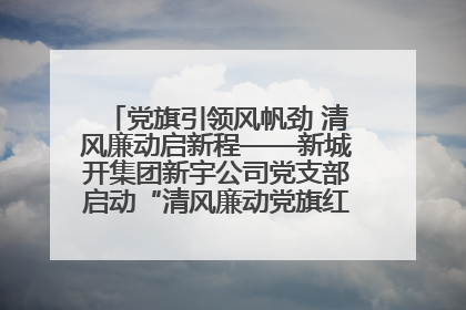 党旗引领风帆劲 清风廉动启新程——新城开集团新宇公司党支部启动“清风廉动党旗红”系列活动