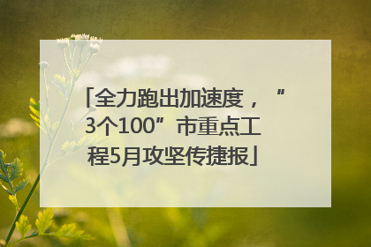全力跑出加速度，“3个100”市重点工程5月攻坚传捷报