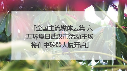 全国主流媒体云集 六五环境日武汉市活动主场将在中碳登大厦开启