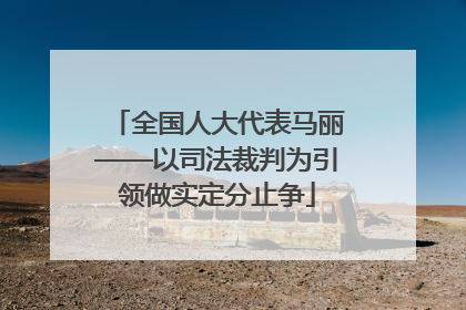 全国人大代表马丽——以司法裁判为引领做实定分止争