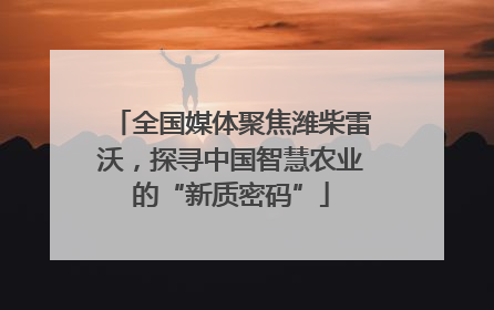 全国媒体聚焦潍柴雷沃，探寻中国智慧农业的“新质密码”