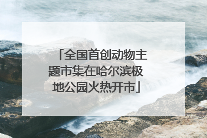全国首创动物主题市集在哈尔滨极地公园火热开市