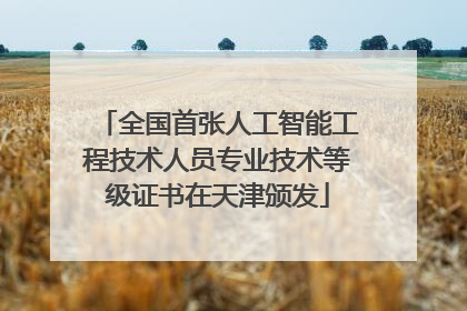 全国首张人工智能工程技术人员专业技术等级证书在天津颁发