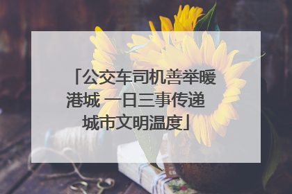 公交车司机善举暖港城 一日三事传递城市文明温度