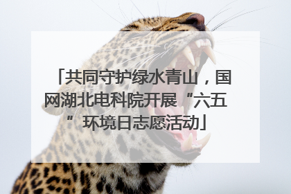 共同守护绿水青山，国网湖北电科院开展“六五”环境日志愿活动