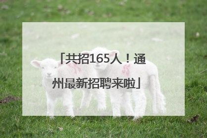 共招165人！通州最新招聘来啦