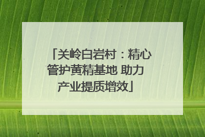 关岭白岩村：精心管护黄精基地 助力产业提质增效