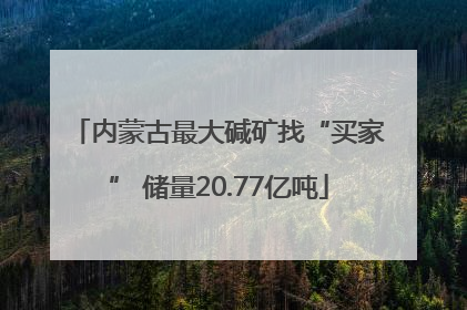 内蒙古最大碱矿找“买家” 储量20.77亿吨