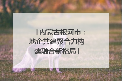 内蒙古根河市：地企共建聚合力构建融合新格局