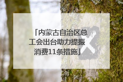 内蒙古自治区总工会出台助力提振消费11条措施