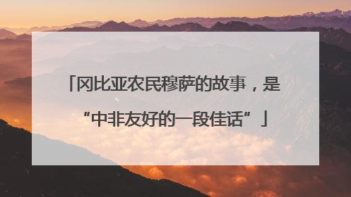 冈比亚农民穆萨的故事，是“中非友好的一段佳话”