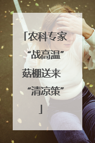 农科专家“战高温” 菇棚送来“清凉策”