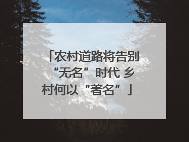 农村道路将告别“无名”时代 乡村何以“著名”