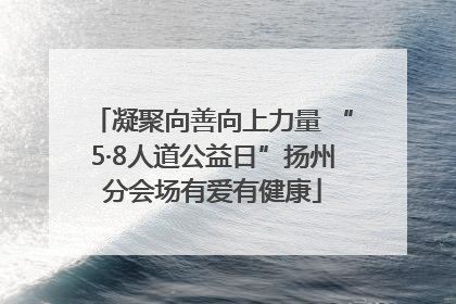凝聚向善向上力量 “5·8人道公益日”扬州分会场有爱有健康
