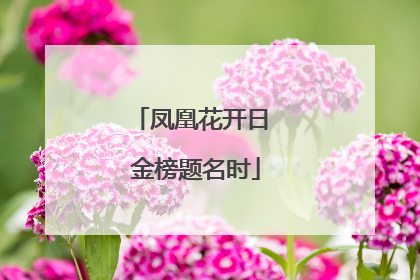 凤凰花开日 金榜题名时