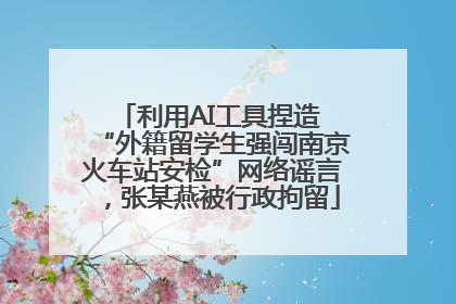 利用AI工具捏造 “外籍留学生强闯南京火车站安检”网络谣言，张某燕被行政拘留