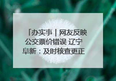 办实事｜网友反映公交票价错误 辽宁阜新：及时核查更正 加强实时巡检