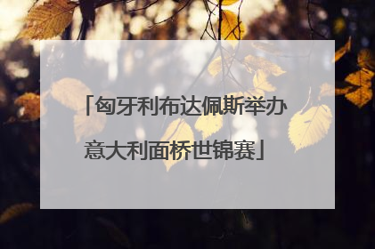 匈牙利布达佩斯举办意大利面桥世锦赛