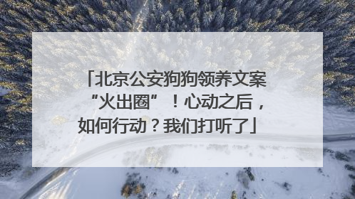 北京公安狗狗领养文案“火出圈”！心动之后，如何行动？我们打听了