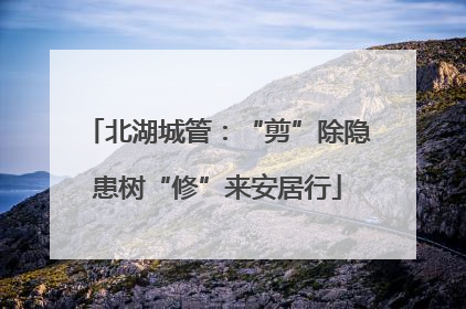 北湖城管：“剪”除隐患树“修”来安居行