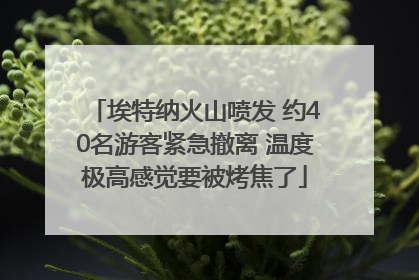 埃特纳火山喷发 约40名游客紧急撤离 温度极高感觉要被烤焦了