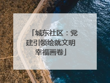城东社区：党建引领绘就文明幸福画卷