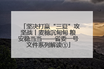 坚决打赢“三夏”攻坚战丨麦穗沉甸甸 粮安稳当当——省委一号文件系列解读①