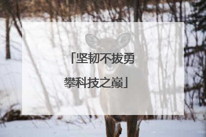 坚韧不拔勇攀科技之巅