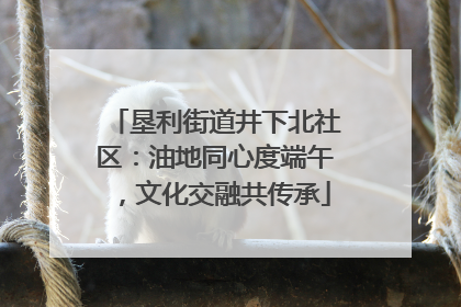 垦利街道井下北社区：油地同心度端午，文化交融共传承