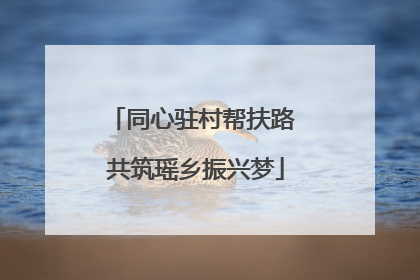 同心驻村帮扶路 共筑瑶乡振兴梦