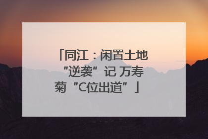 同江：闲置土地“逆袭”记 万寿菊“C位出道”
